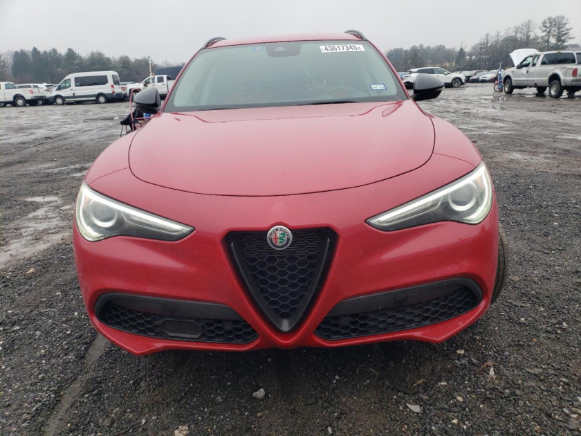 Alfa Romeo Stelvio, Sport