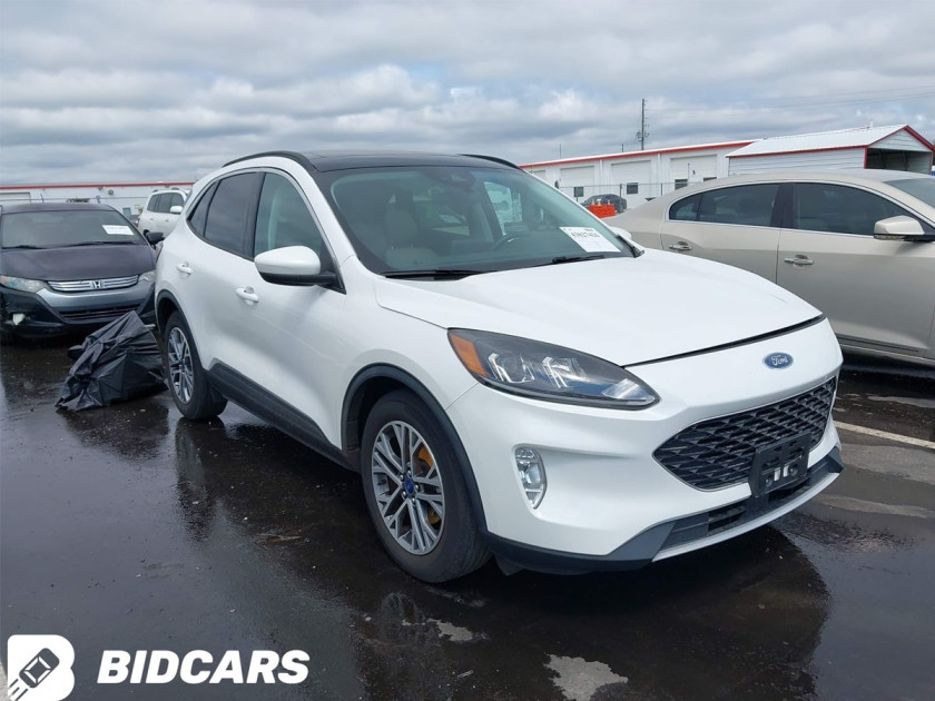 Ford Escape, Sel