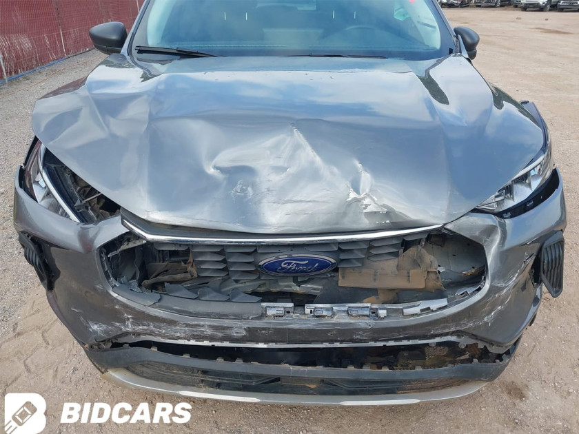 Ford Escape, Active