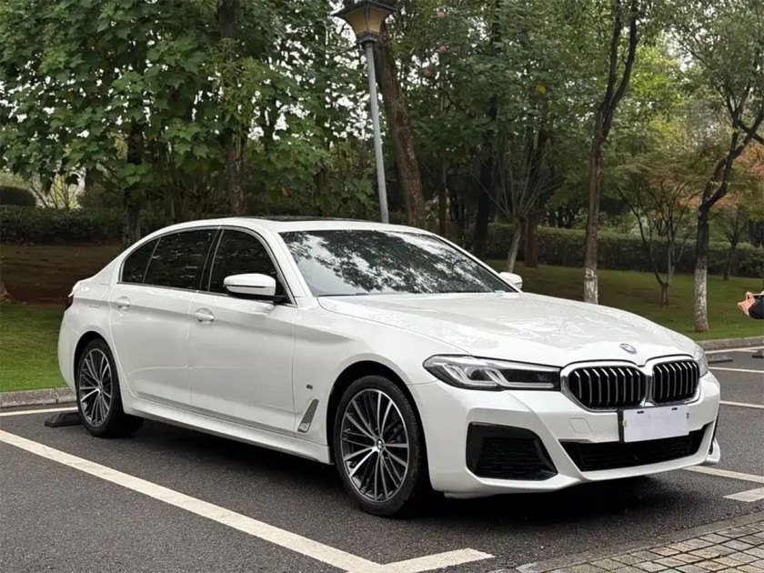 BMW 5 Series 525Li