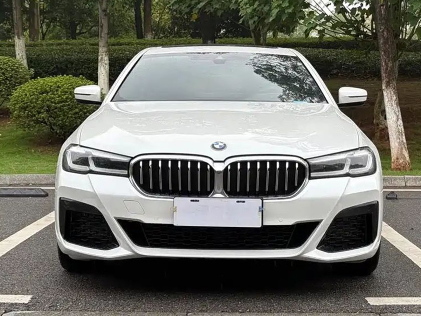 BMW 5 Series 525Li