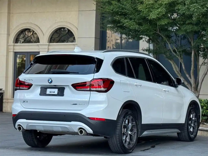 BMW X1 sDrive20Li