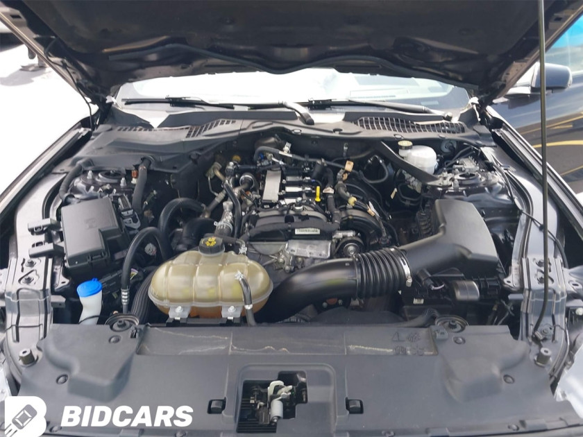 Ford Mustang, Ecoboost Premium