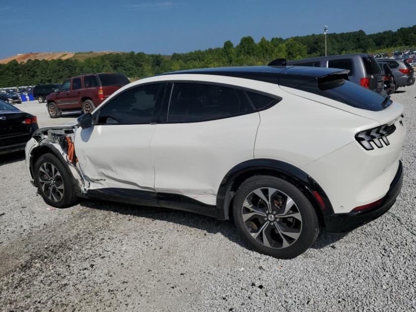 Ford Mustang, Premium